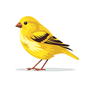 Alive Canary, still ranked in top 100 results